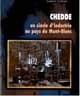Chedde, un siècle d'industrie au pays du Mont-Blanc - Ludovic Cailluet - PUG